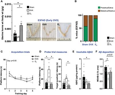 Estradiol improves behavior in FAD transgenic mice that express APOE3 but not APOE4 after ovariectomy